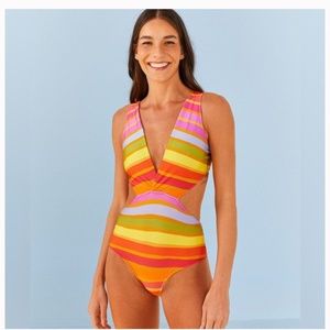 FARM RIO Shiny Stripes One Piece Swimsuit BRAND New w/Tags